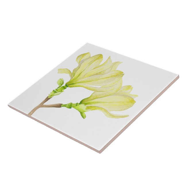Gelbe Magnolien auf der Keramik (1W) Fliese (Seite)