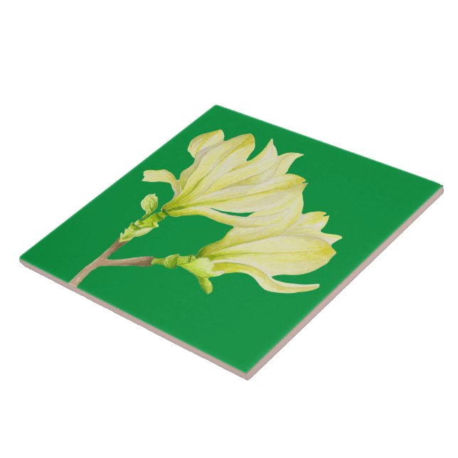 Gelbe Magnolien auf einer Keramik (1G) Fliese (Seite)