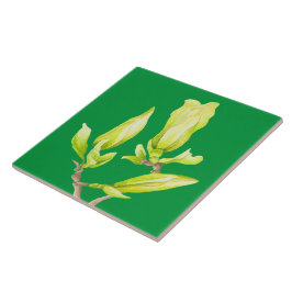 Gelbe Magnolien auf einer Keramik (2G) Fliese