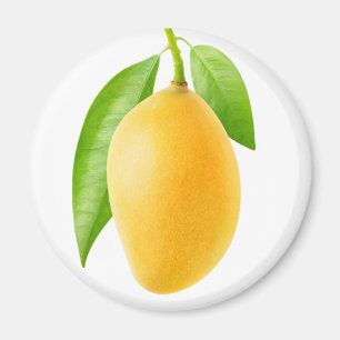 Gelbe Mango Magnet