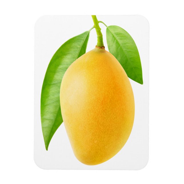 Gelbe Mango Magnet (Vertikal)