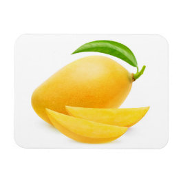 Gelbe Mango schneiden Magnet