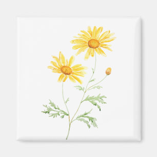 Gelbe Margaretenblume Aquarell Magnet
