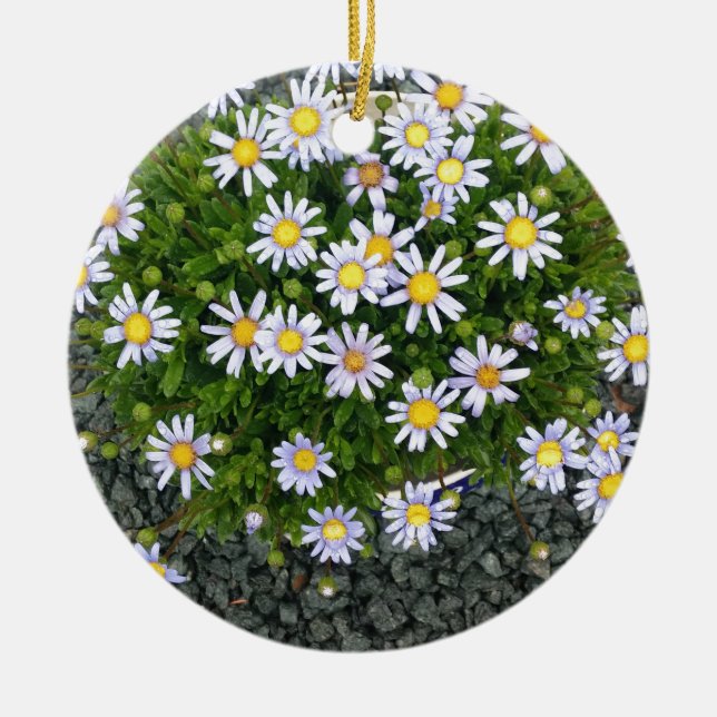 Gelbe Margarita-Blume mit grauen Kies Keramikornament (Vorne)