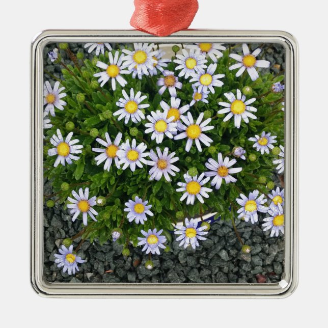 Gelbe Margarita-Blume mit grauen Kies Silbernes Ornament (Vorne)