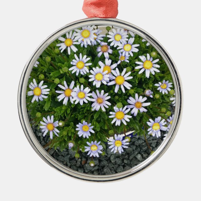 Gelbe Margarita-Blume mit grauen Kies Silbernes Ornament (Vorne)