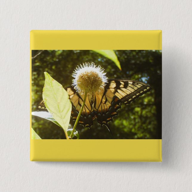 Gelbe Monarchknopf Button (Vorderseite)