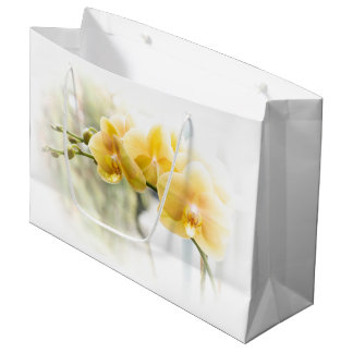 Gelbe Moth Orchid im Sonnenschein Große Geschenktüte