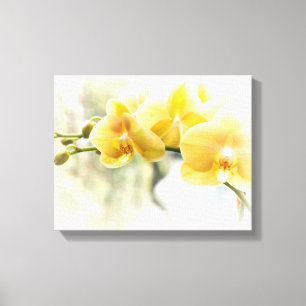Gelbe Moth Orchid im Sonnenschein Leinwanddruck
