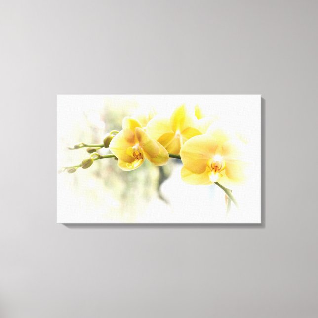 Gelbe Moth Orchid im Sonnenschein Leinwanddruck (Vorderseite)