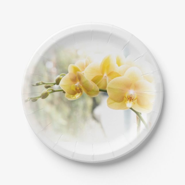Gelbe Moth Orchid im Sonnenschein Pappteller (Vorderseite)