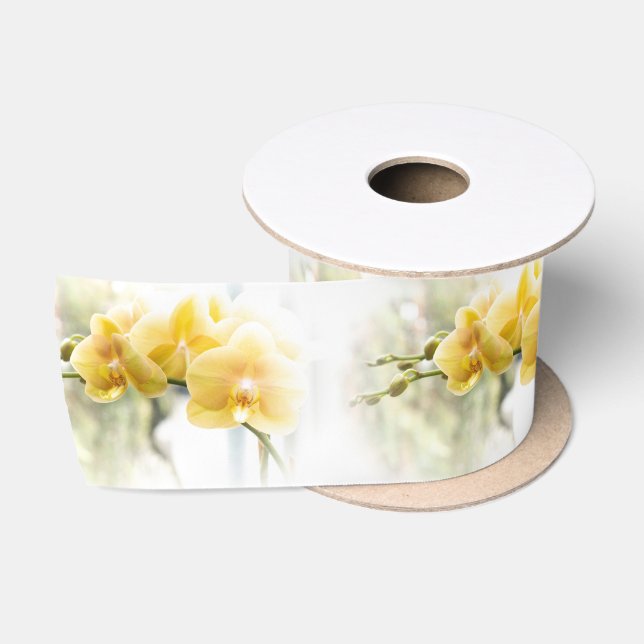 Gelbe Moth Orchid im Sonnenschein Satinband (Spule)