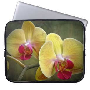 Gelbe Mottenorchien - Phalaenopsis Laptopschutzhülle