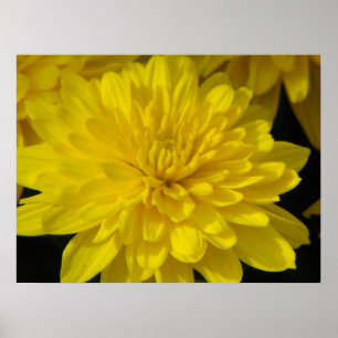 Gelbe Mumie Poster