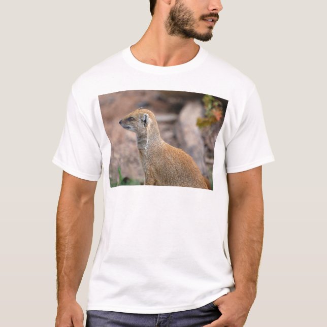 Gelbe Mungo-Fotografie T-Shirt (Vorderseite)