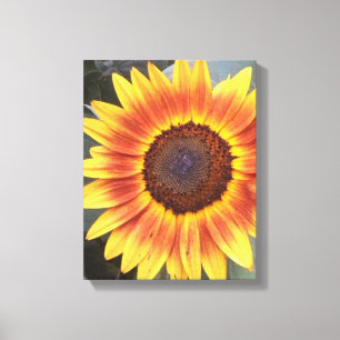 Gelbe N orangefarbene Sonnenblumen Leinwanddruck