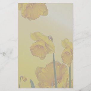 Gelbe Narzisse Daffodil Briefpapier