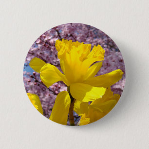 Gelbe Narzissen-Blume knöpft Frühlings-Blüten Button