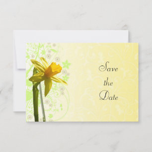 Gelbe Narzissen-Blumen Frühling Save The Date