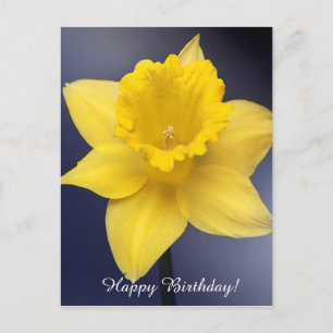 Gelbe Narzissenblume Florale Aquarellmalerei Postkarte