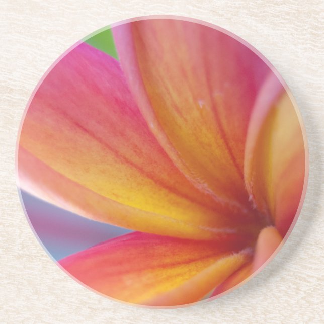 Gelbe Orange Deep Pink Tropische Plumeria Blume Sandstein Untersetzer (Vorne)