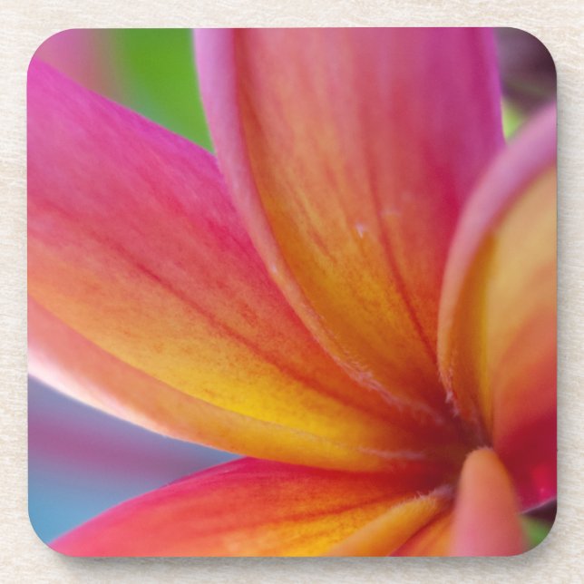 Gelbe Orange Deep Pink Tropische Plumeria Blume Untersetzer (Vorderseite)