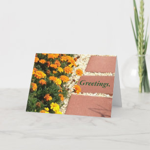 Gelbe Orangen-Marigold-Blume Grußkarten Karte