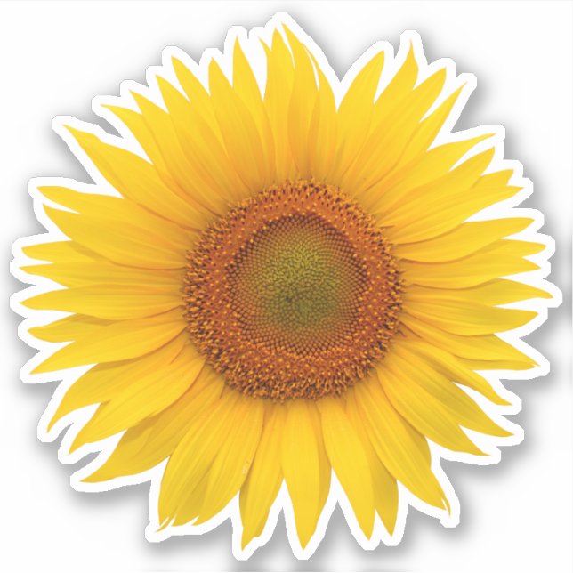 Gelbe Orangenblume Blume Kiss-Cut Sticker (Vorderseite)