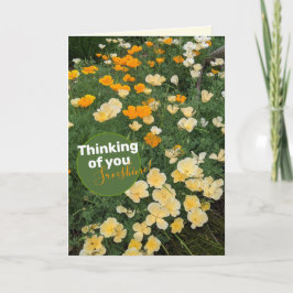 Gelbe Orangenpolster-Blume Karte
