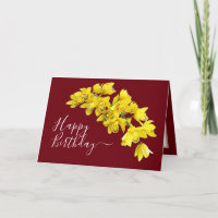 Gelbe Orchid-Blume Cluster Roter Hintergrund