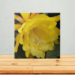 Gelbe orchide Kakteen Bloom Floral Fliese<br><div class="desc">Keramik Kachel,  die das Foto eines großen,  gelben Orchideen Kaktus Blume Blüte,  auch bekannt als Epiphyllum. Ein schönes,  blumengeschmücktes Design! Wählen Sie Ihre Kachelgröße aus. Eine tolle Küche trivet!</div>