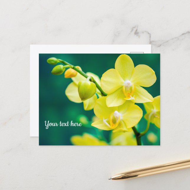 Gelbe Orchidee auf grüner Postkarte (Vorderseite/Rückseite Beispiel)