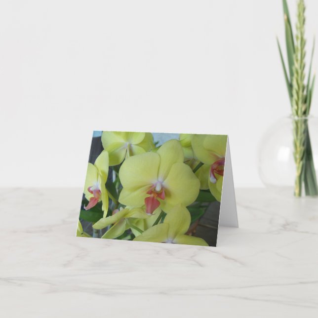 Gelbe Orchideen auf einer Notizkarte Karte (Vorderseite)