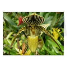 Gelbe Orchideen-Blumen-Karte