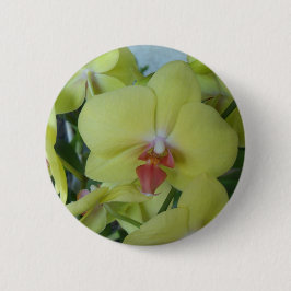 Gelbe Orchideen Button