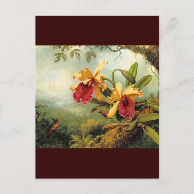 Gelbe Orchideen Postkarte (Vorderseite)