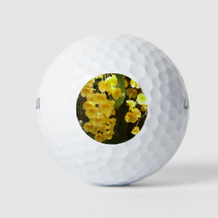 Gelbe Orchideen - tropische Blume Golfball