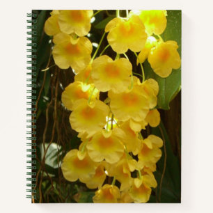 Gelbe Orchideen - tropische Blume Notizbuch