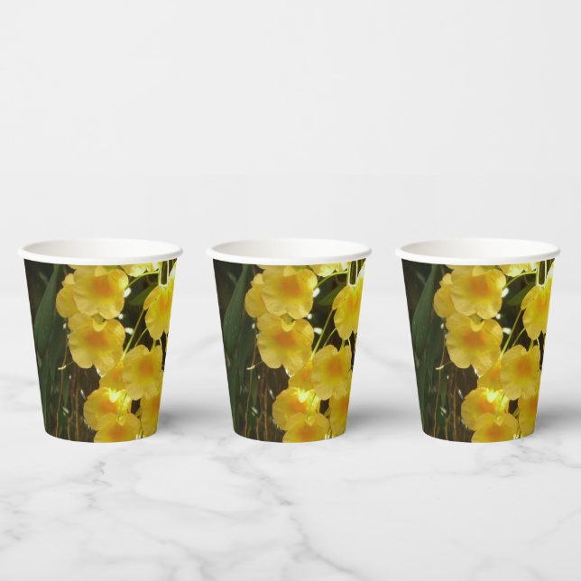 Gelbe Orchideen - tropische Blume Pappbecher (Multi)