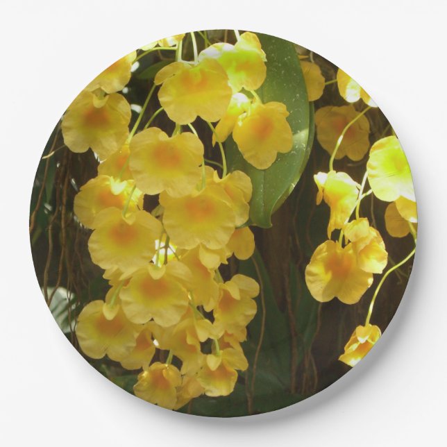 Gelbe Orchideen - tropische Blume Pappteller (Vorderseite)
