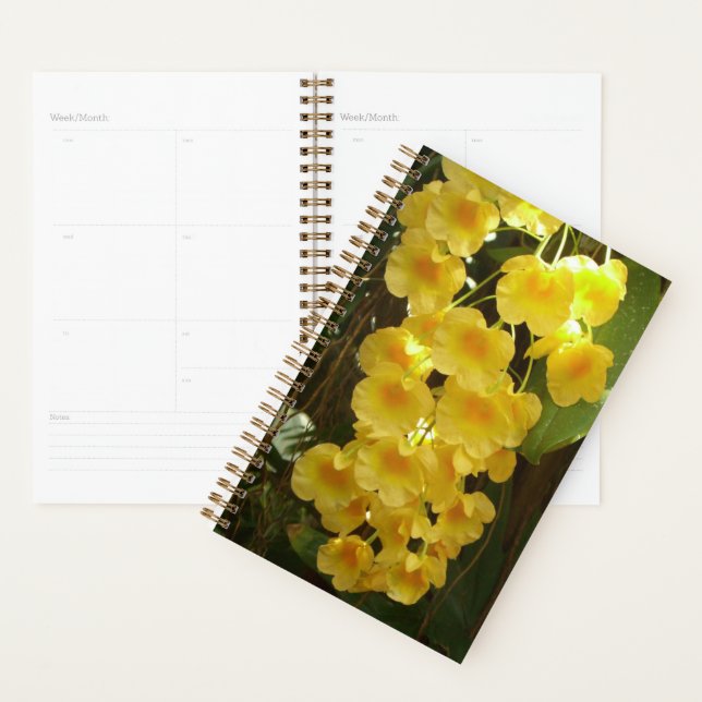 Gelbe Orchideen - tropische Blume Planer (Anzeige)