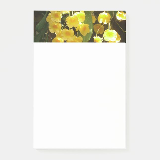 Gelbe Orchideen - tropische Blume Post-it Klebezettel (Vorderseite)