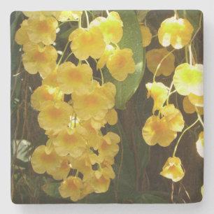 Gelbe Orchideen - tropische Blume Steinuntersetzer