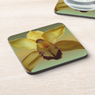 Gelbe Orchideen-Untersetzer Untersetzer