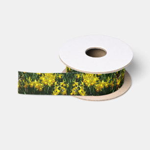 Gelbe Osterglocken I Fröhliche Frühlingsblumen Satinband