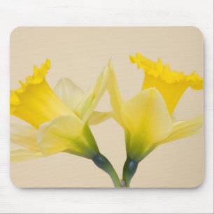 Gelbe Osterglocken Mousepad