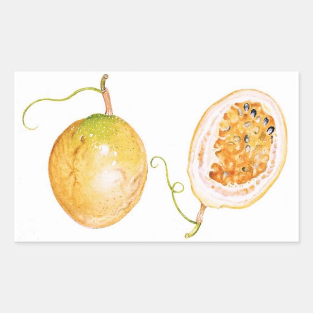 Gelbe Passionsfrucht Rechteckiger Aufkleber (Vorderseite)