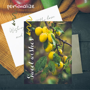 Gelbe Pflaumen nach Regen Postkarte