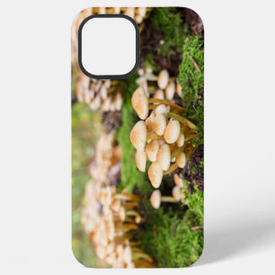 Gelbe Pilze im Herbstwald. iPhone 12 Pro Max Hülle