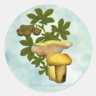 Gelbe Pilze mit Samenkleben Runder Aufkleber